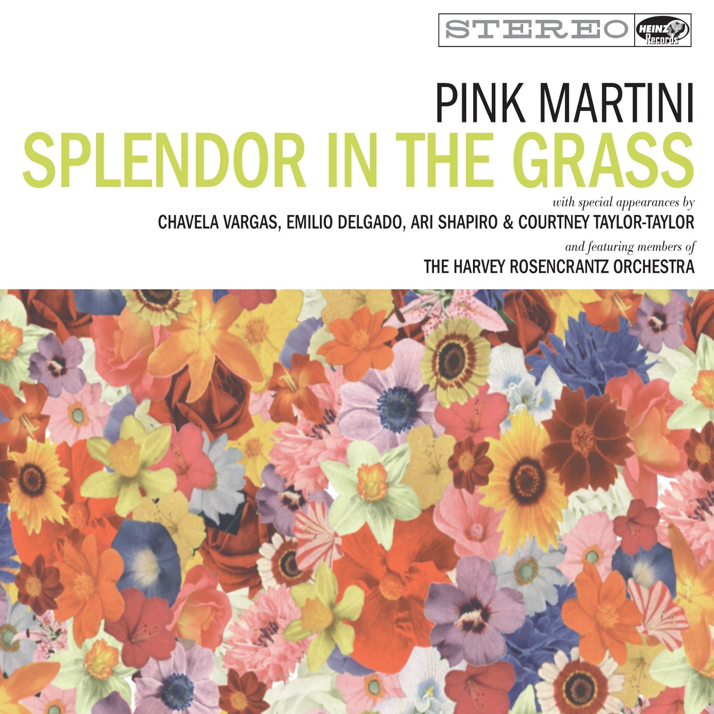 Splendor in the Grass